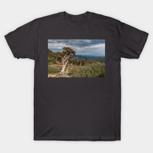 Timberline T-Shirt